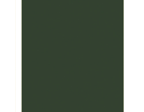 Foam color verde oscuro